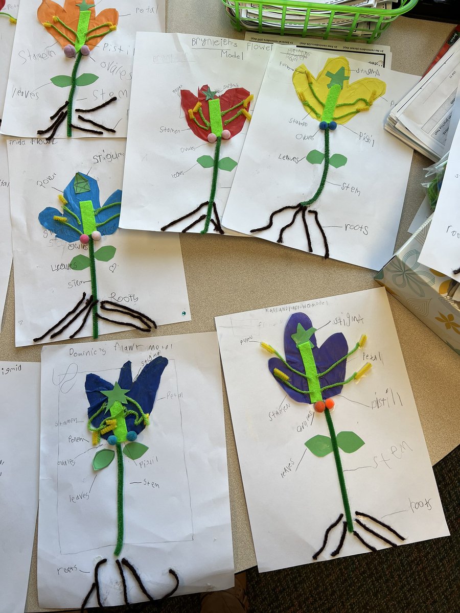 Mrs. Shipman 🍎 tweet media