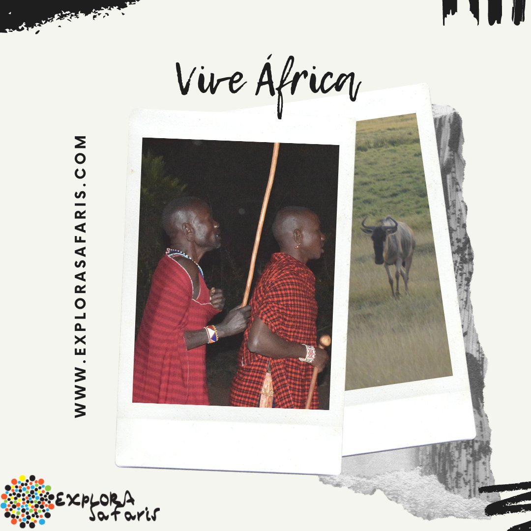 ExploraSafaris tweet picture
