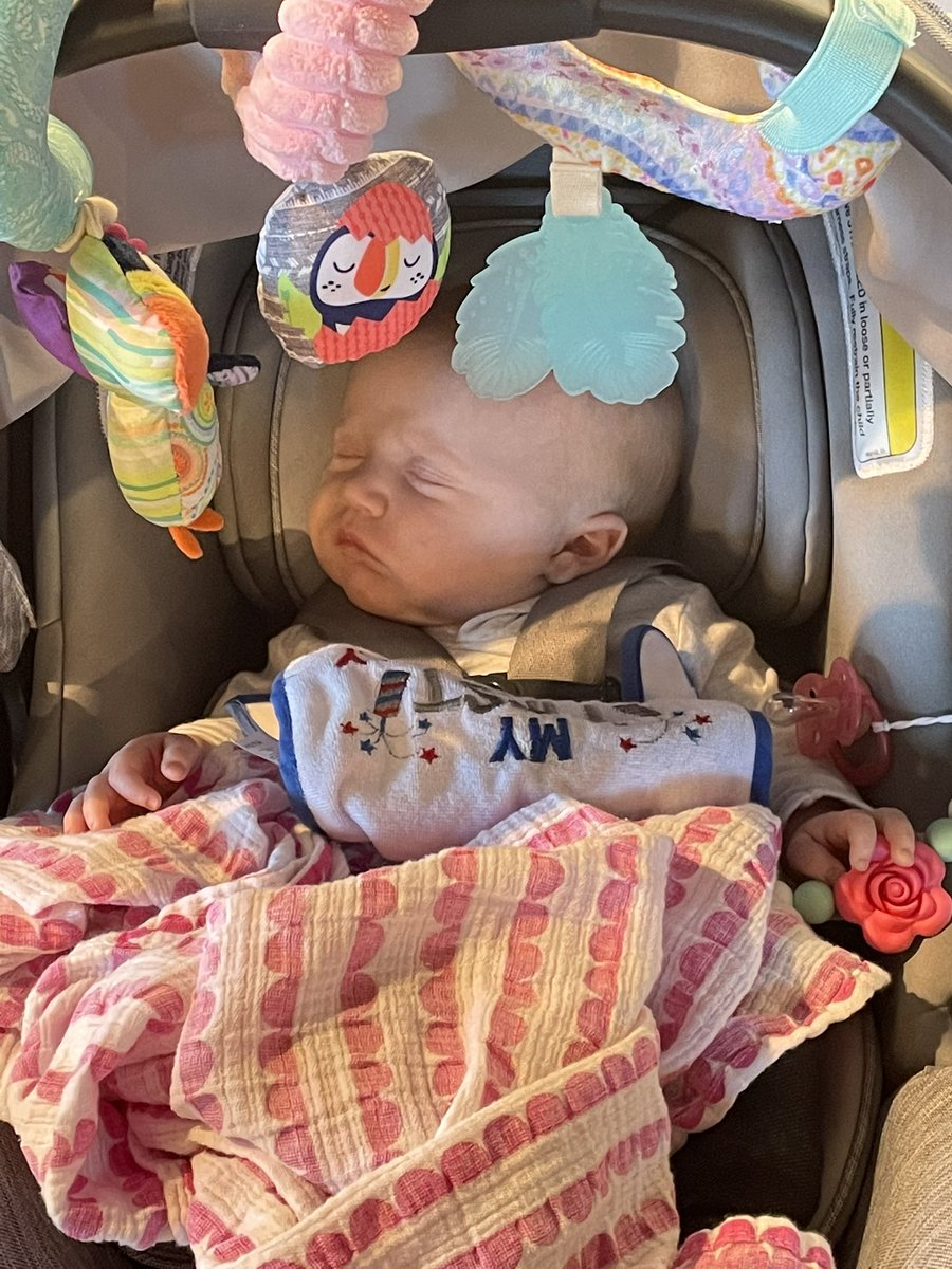 RobbieVlovesit's tweet photo. Victoria is on another adventure to prevites in Hanover. She was irate at the trip to the clothing store but is cooing away at prevites in Hanover #Victoriaadventures #blizzardprep https://t.co/t6QoVC9WO2