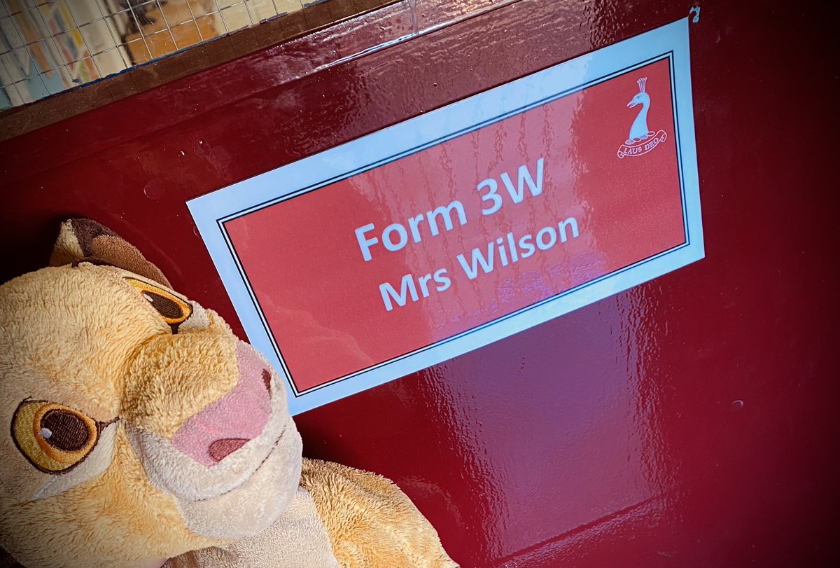 TessWilson_18's tweet photo. .@winterfoldhs 3W will be performing an assembly about the importance of online safety and how far our digital footprint can travel. Please help us with our experiment and share our class mascot, Simba, far and wide so that we can see just how far our pictures travel online! https://t.co/oLiKLNCia2