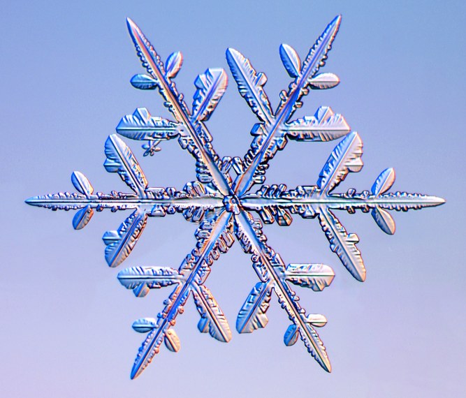 Have you ever thought about why the world is so quiet after a fresh snowfall? Snowflakes actually absorb soundwaves! A couple inches of fresh snow can absorb ~60% of sound because the snowflakes are porous!

Read about snow characteristics here: nsidc.org/cryosphere/sno…