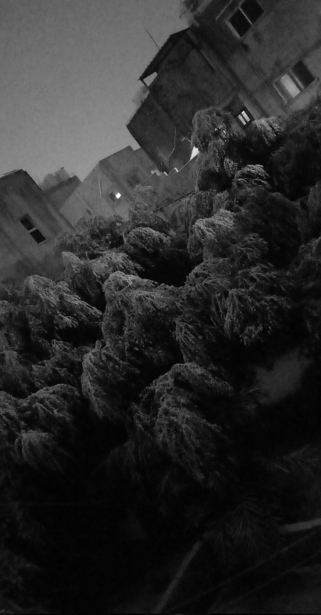 الحمدُلله .. الحمدُلله
اللهُمَّ كما أغثتَ الأرض أغث قلوبنا "(💙☁️