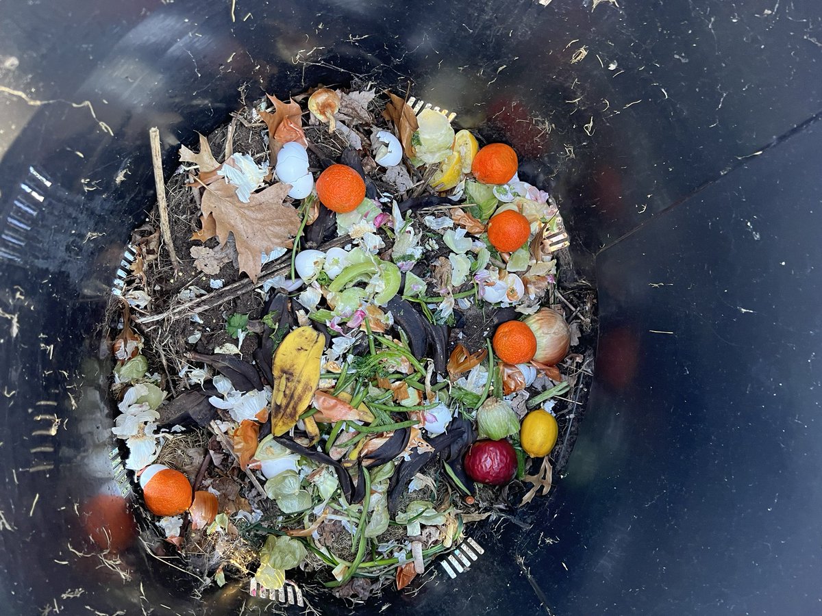 Smith School Environmental Club has started our composting project. We are collecting compostable food scraps from the culinary arts classes every Wednesday. We hope to include the kitchen cafeteria food scraps in the future! <a href="/RSDsmithschool/">Smith Middle School</a> <a href="/drmatthewmurphy/">Matthew J.  Murphy</a> #compost #ecofriendly