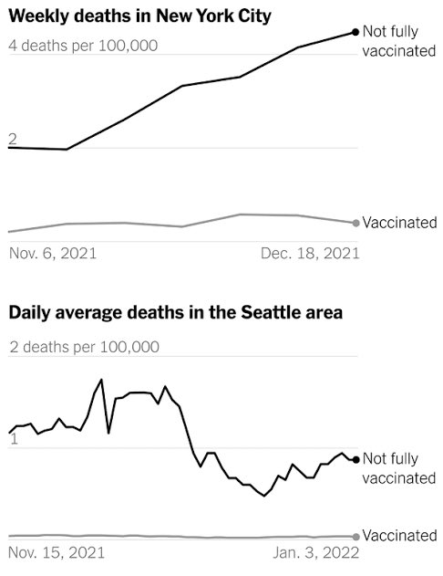 #ProfeAndru げらるど tweet media