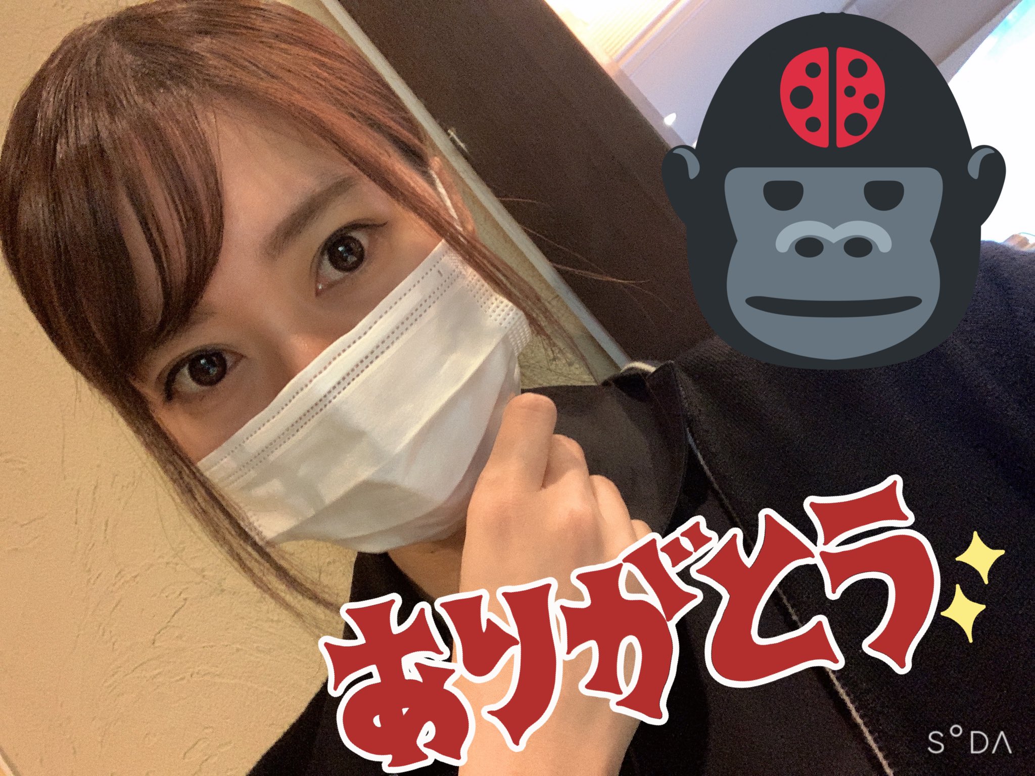 楓 おはようございます 今日も今日とて早朝からお仕事です ᐞ 沢山のいいねとリプに感謝 どんな反応されるかなって正直心配でしたが 皆さん暖かくて心救われました リプは休憩中や仕事終わってから返しますので気長に待っててくれたら