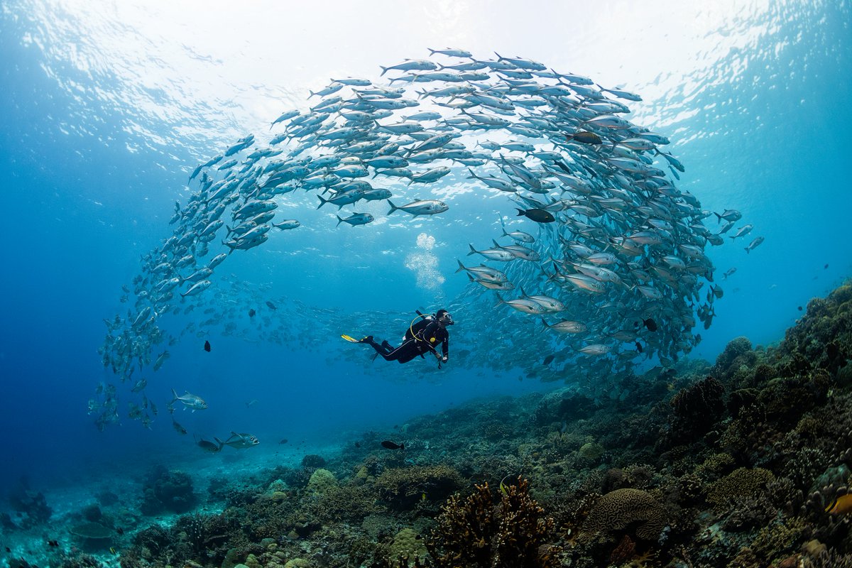 Rachel Suzanne Tien Wood tweet media