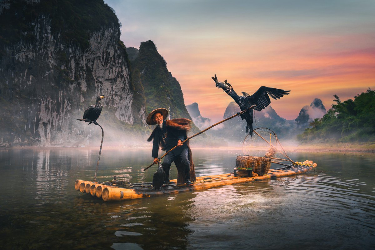 Rachel Suzanne Tien Wood tweet media