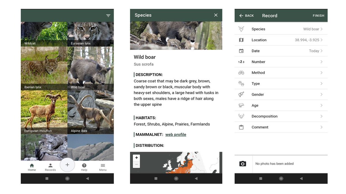 The iMammalia app promoted by <a href="/EFSA_EU/">EFSA</a> &amp; <a href="/FAO/">Food and Agriculture Organization</a>  is a friendly app (for all audiences) that allows recording the presence of European mammals, including the presence of dead animals and associated information (e.g. degree of decomposition).
mammalnet.com/imammalia/