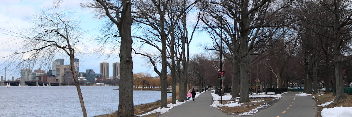 A pedestrian path and a bike path meet on the shore of the Charles River in wintertime, with the Boston skyline in the background.
