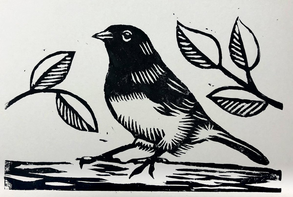 This month’s #BirdWhispererProject is the Dark-eyed Junco. I’ve been dabbling in linocut block printing lately, so this is mine! ⁦@BirdWhisperers⁩