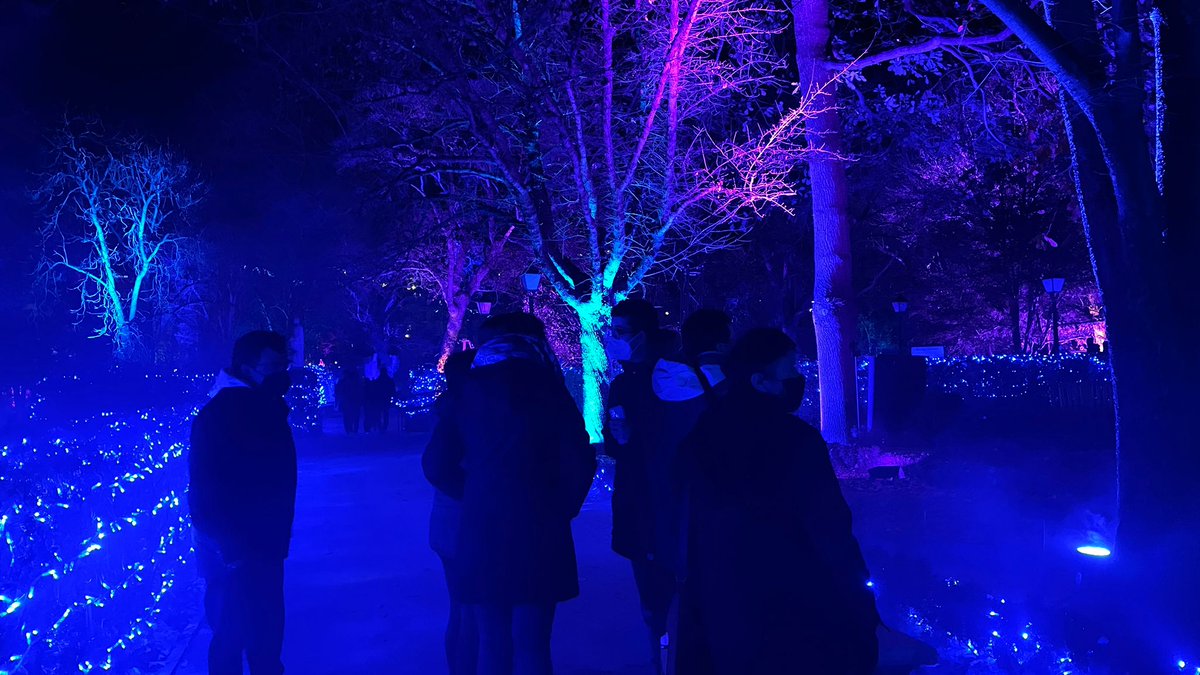 asoc_pitote's tweet photo. Este mes de enero un grupo de pitoteros nos hemos hecho una escapada fresquita a ver las luces del @rjbotanico 
¡Fue una tarde genial! Aunque fría pero nos pareció una actividad muy bonita y especial para cerrar la navidad del 2021. https://t.co/GjcrZ4iaZq