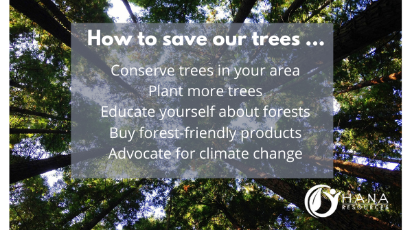 hana_resources's tweet photo. Our forests are beautiful and we need to do all we can to protect and preserve them. Have you ever wondered what you can do to help? Here are a few ideas.
#environment #habitatrestoration #sustainability #drones #consulting #ecoscan #waterconservation #environmentalconsulting https://t.co/e62xwLTrP1