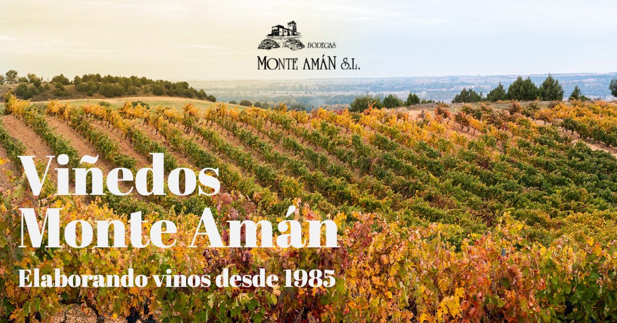 bodemonteaman's tweet photo. Bodegas Monte Amán cuenta con 30 Has de viñedo propio 100% Tinta del País ó Tempranillo, la uva autóctona de la Denominación de Origen Arlanza.
https://t.co/MX1ChbLU7k
#vinoytradicion #redwine #bodegasmonteaman https://t.co/VO0d2GYZ67