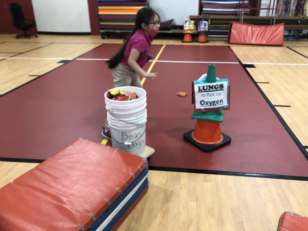 livelype's tweet photo. Students enjoying learning about the #heart with our vocab lesson and understanding the flow of the heart. Getting ready for #heartcourse soon #iisdpe https://t.co/ysZJFjHOzO