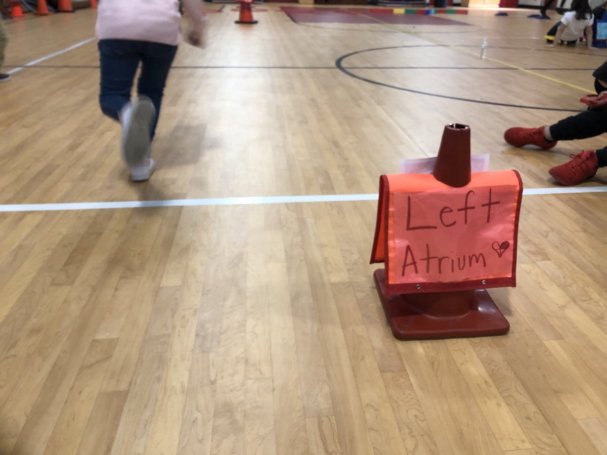 livelype's tweet photo. Students enjoying learning about the #heart with our vocab lesson and understanding the flow of the heart. Getting ready for #heartcourse soon #iisdpe https://t.co/ysZJFjHOzO