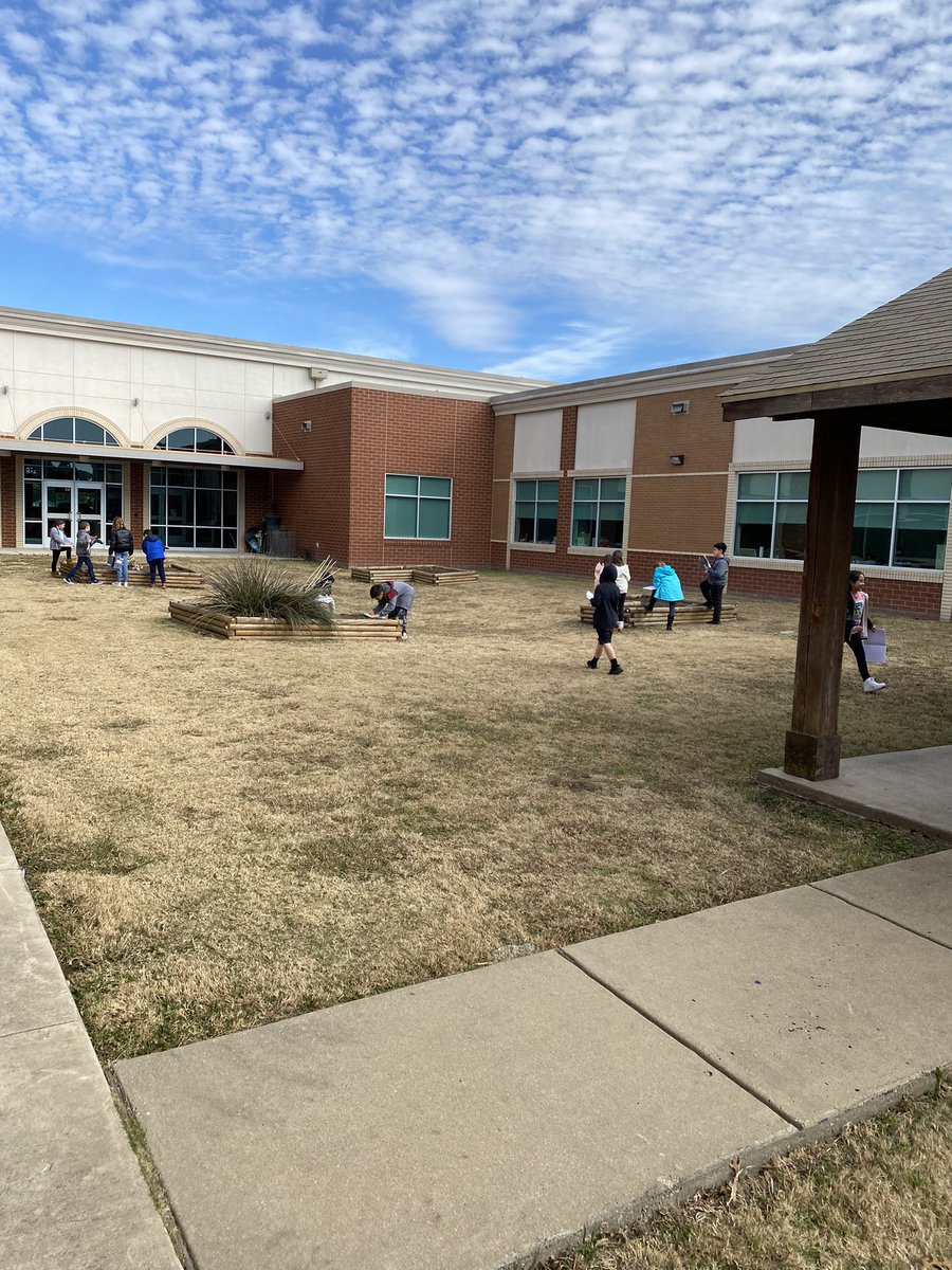 Exploring our environment and what is livi mg and non living!