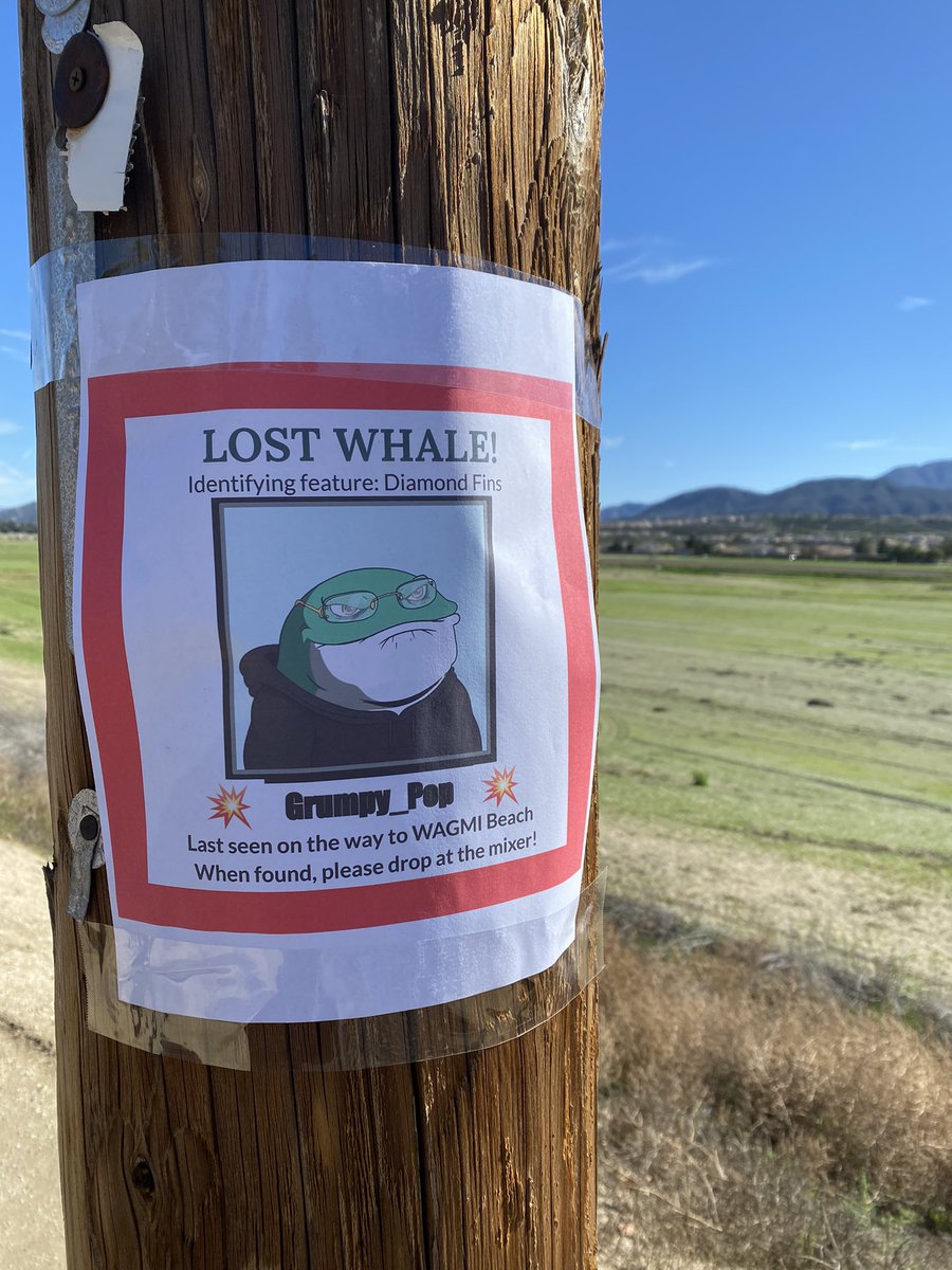 dov_rizzo's tweet image. LOST WHALE!
Help him get back to the Mixer #WHALEWARS @catalinawhales