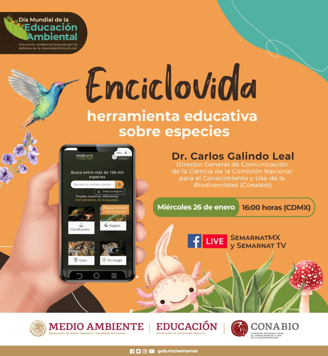 SEMARNAT_mx's tweet photo. #QueNoSeTePase

✨ No te pierdas el evento en línea "#Enciclovida, herramienta educativa sobre especies". 💻🐾🦜🐒🦎🐸🍄

🗓 Hoy
🕣 16:00 hrs. 
▶️ https://t.co/4vz4mLSfoj y https://t.co/70HcGsZDeG https://t.co/wPd4mXRiLo
