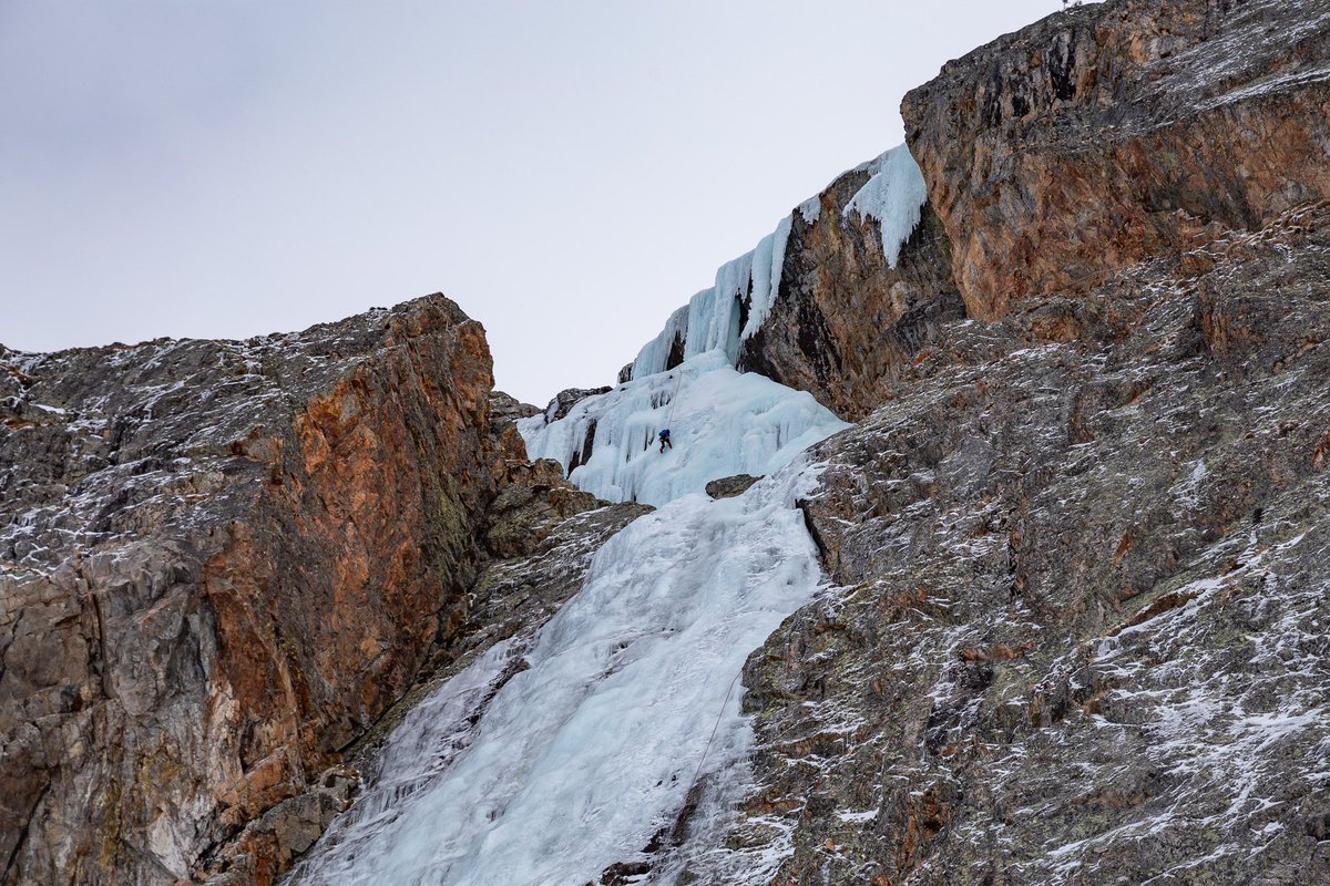 Itinera Magica tweet media