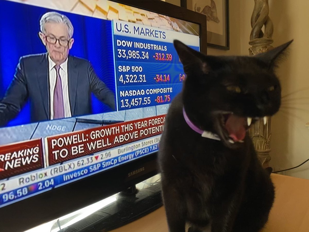 StockCats_2009's tweet photo. https://t.co/QO78PY3uDw