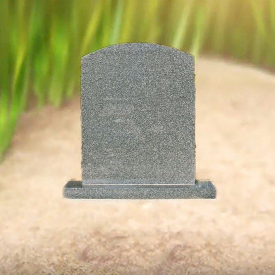 sam 🏹 tweet media