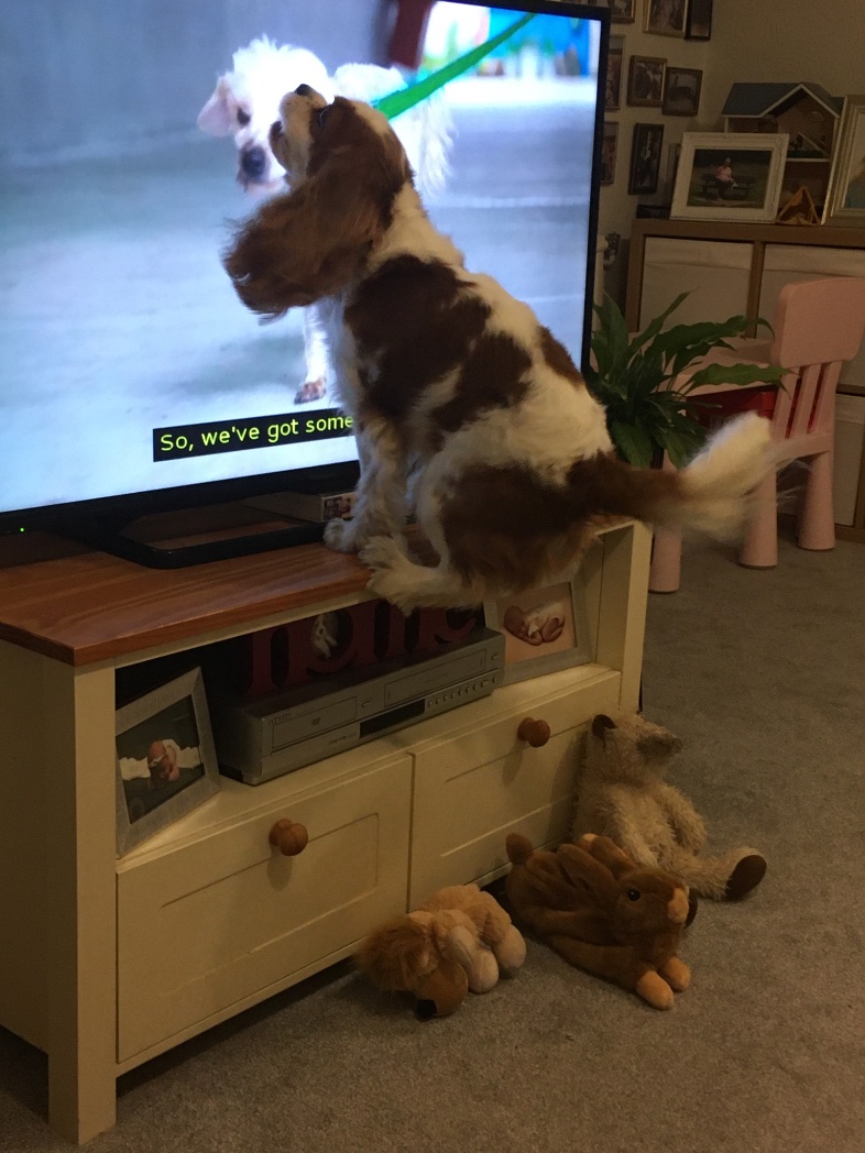 ASPIRE communication groups tweet media