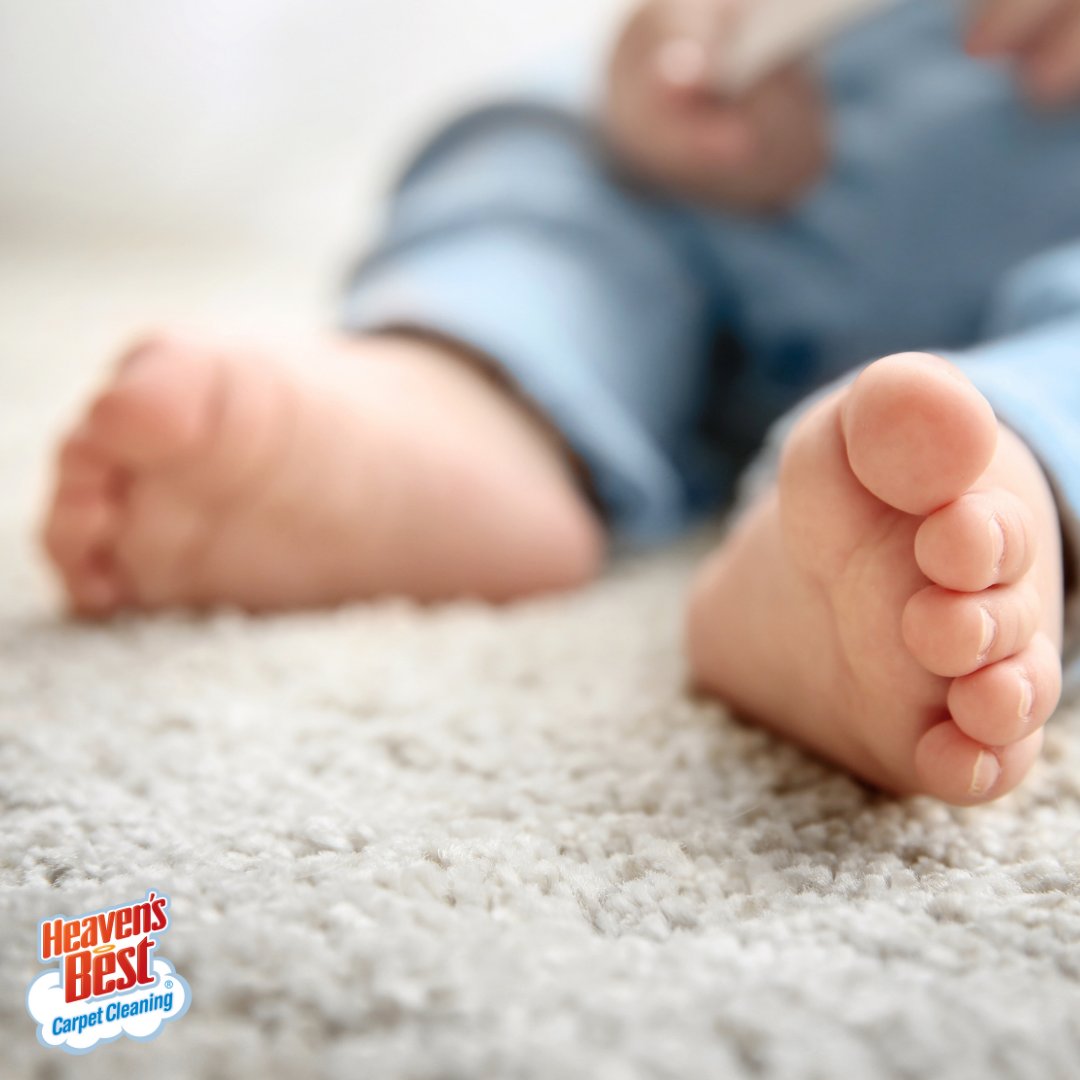 Heaven's Best Carpet Cleaning Helena MT (HB_HelenaMT) Twitter