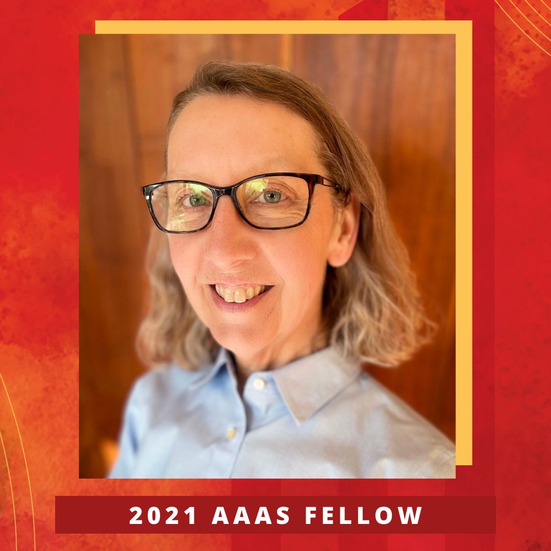 ISU Department of Statistics tweet media