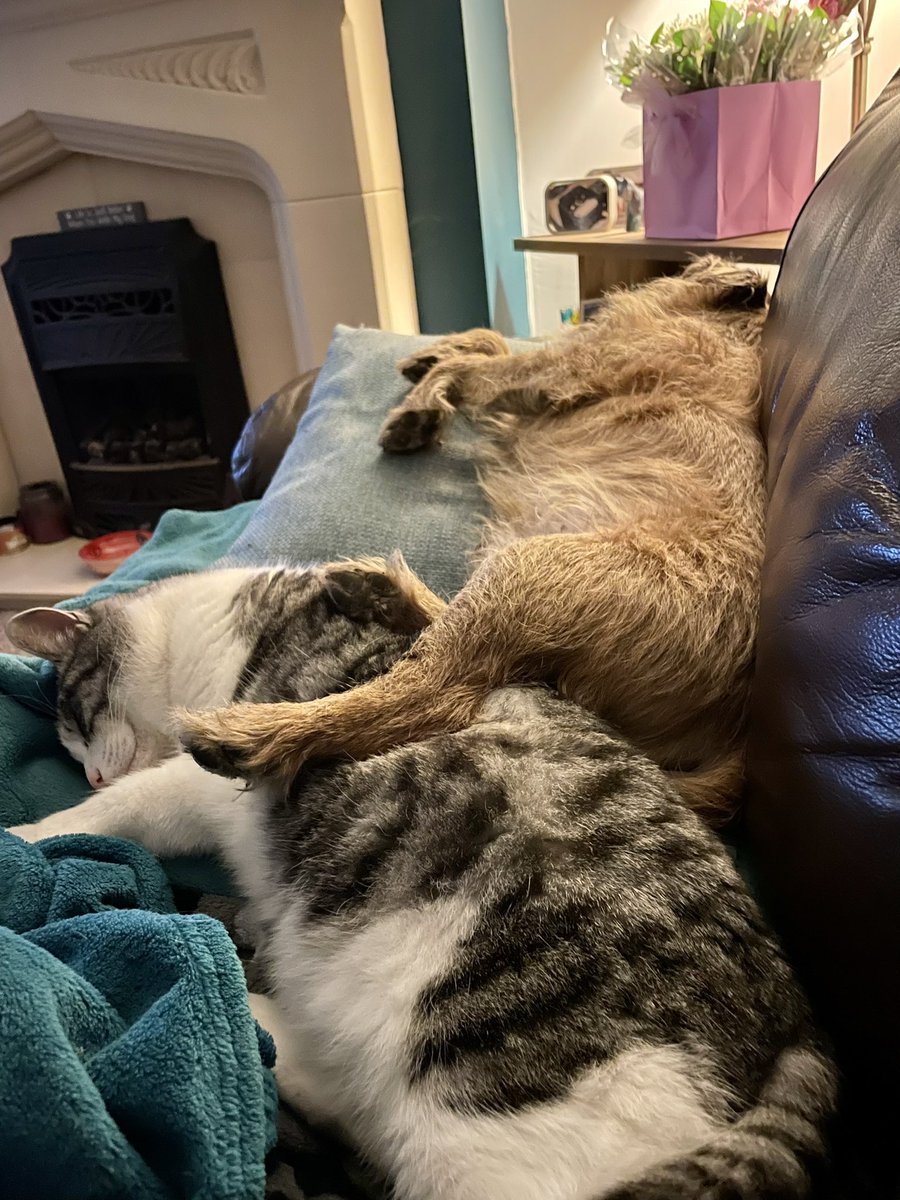 Riley_roo888's tweet photo. Itβs nice to put your feet up and relax at the end of a busy day *sniggers* πππ¬ #brothers #keepstillNedders #goodforsomething #BTPosse https://t.co/UONFgTy50a