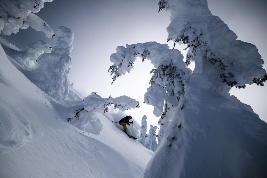 bcpottrail's tweet photo. BC Powder + BC Bud a great way to spend the day. #playsafe #cannabiscanada #weedlife #canada #travel #thc #cbd #bcpottrail #freshpow https://t.co/MuJOWHDdGf