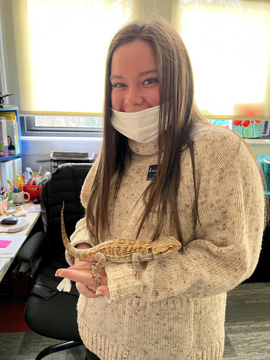 Lauren Breed tweet media