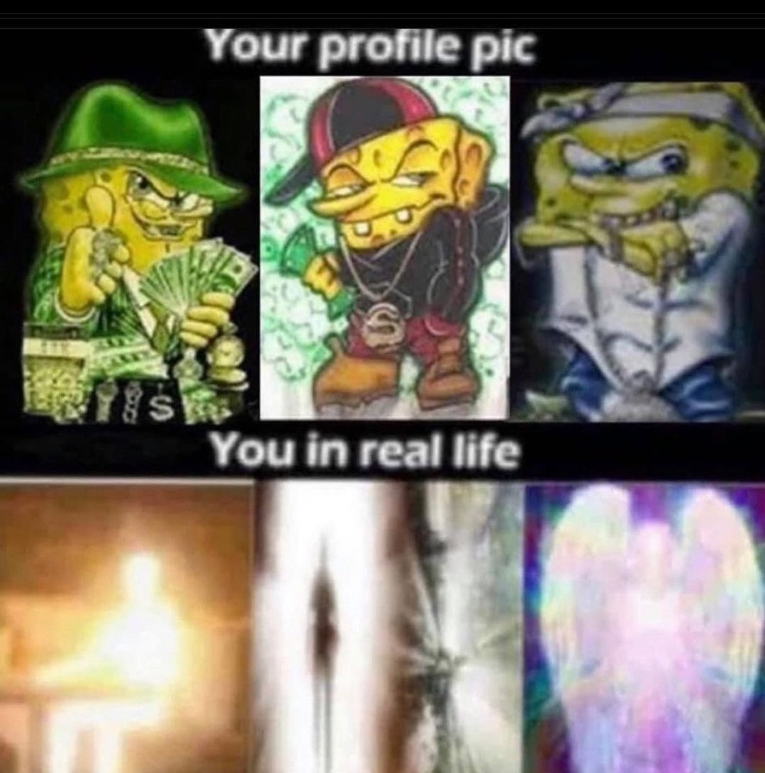 bufotoad1's tweet image. 