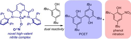 #CuNews No.26: <a href="/_caitlin_b_/">Caitlin Bouchey</a> &amp; <a href="/WBTolman/">William Tolman</a>
@WUSTL <a href="/UMNews/">University of Minnesota</a> investigated the proton-coupled electron transfer &amp; nitration of phenols ft a formally #Copper (III) nitrite complex - give this nice work a read! <a href="/InorgChem/">Inorganic Chemistry</a>😄👉bit.ly/3H7PQ9T👈😄