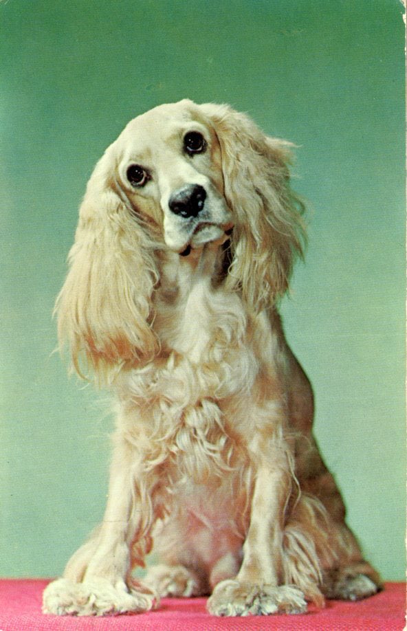 The food is rotten and I am always hungry.