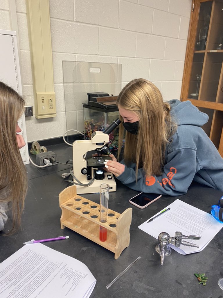 Brittany Freels tweet media