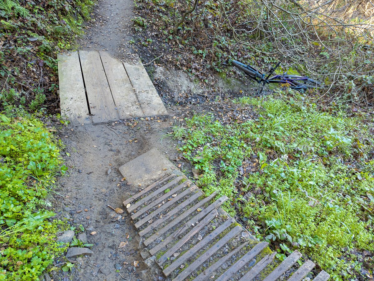 Stephen Shankland tweet media