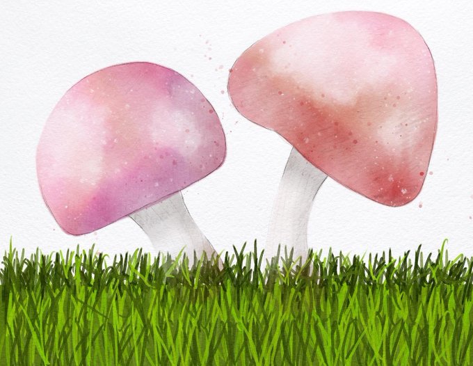@gvdesignstudio mushrooms without grass and with grass. And a watercolor jellyfish. Pretty happy with<a class="tags" target="_blank" title="On Twitter" href="/?out=eyJ0eXAiOiJKV1QiLCJhbGciOiJIUzUxMiJ9.eyJpYXQiOjE3MzIyNDEyODYsImlzcyI6InR3cG9ybnN0YXJzLmNvbSIsIm5iZiI6MTczMjI0MTI4NiwiZXhwIjoxNzYzNzc3Mjg2LCJyZWRpcmVjdF91cmwiOiJodHRwczovL3R3aXR0ZXIuY29tL2d2ZGVzaWduc3R1ZGlvIn0.TS0oXB4Uc87aEacrIcVhISVde1vtFbdRo-ZpVuDKVo0EkoZG1Fq2JT-aDn39JNgnvrMrol84qQZmDtgjSEwVGw">@gvdesignstudio</a><a href="/tag/newprofilepic"class="tags"><span>#newprofilepic</span></a>