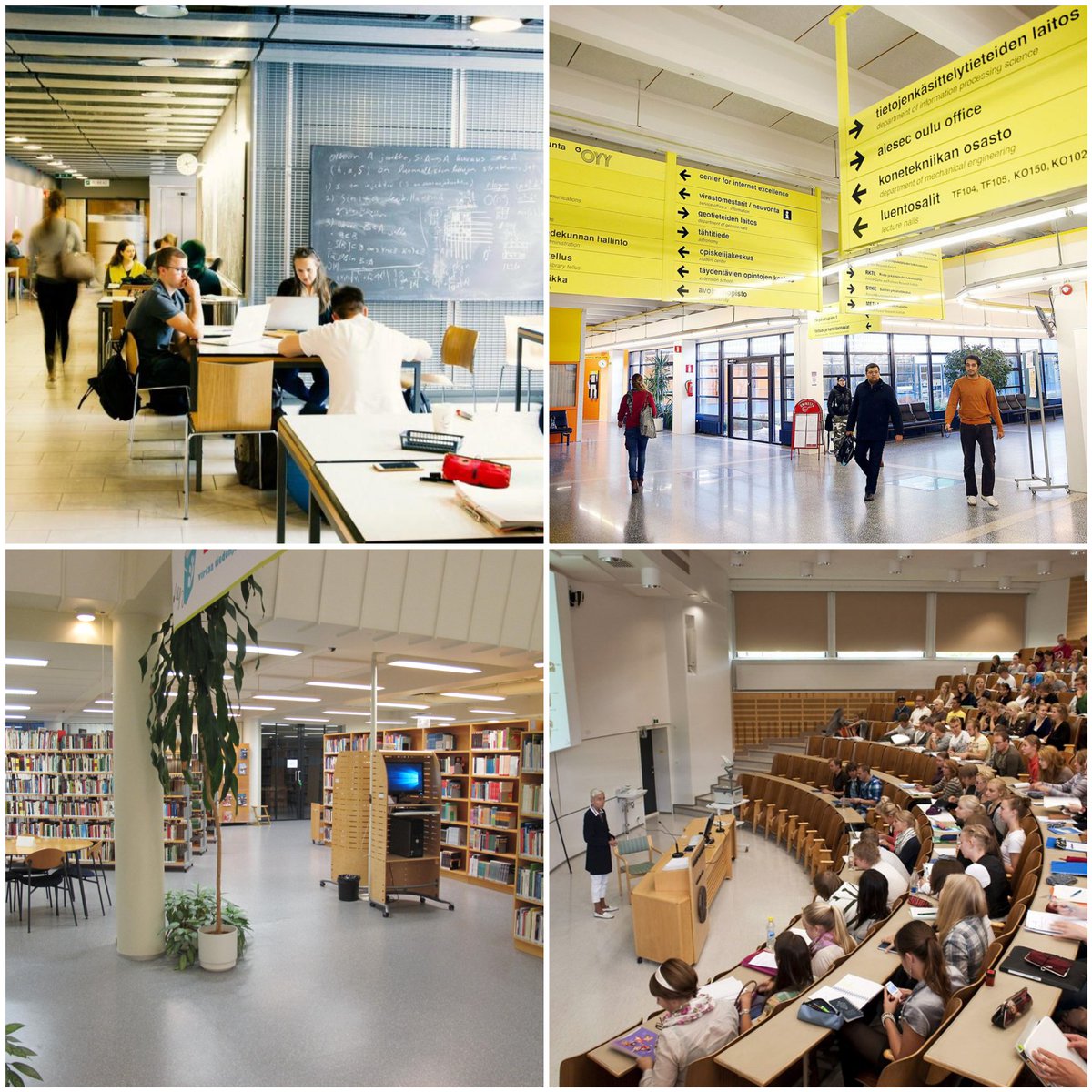 Pommiina tweet media