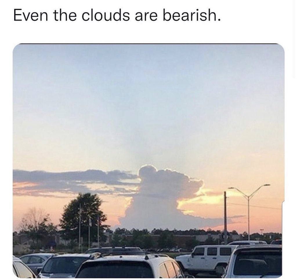 Carl Moon (@themooncarl) on Twitter photo 