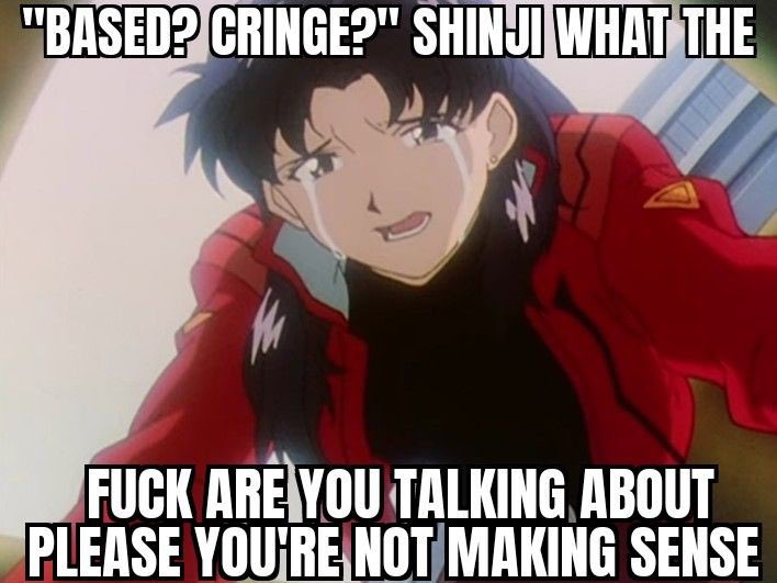 lovekaworus's tweet photo. evangelion meme of the day https://t.co/c6mp3aGUqL