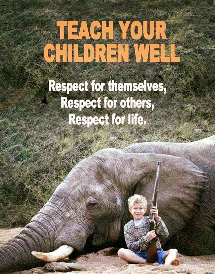 JulieBe77816533's tweet photo. For the future of all living things ... Please just teach your children compassion &amp; empthy for the natural world 
#Kindness #Compassion #Empthy 
#BanTrophyHunting https://t.co/9eF49oddqD