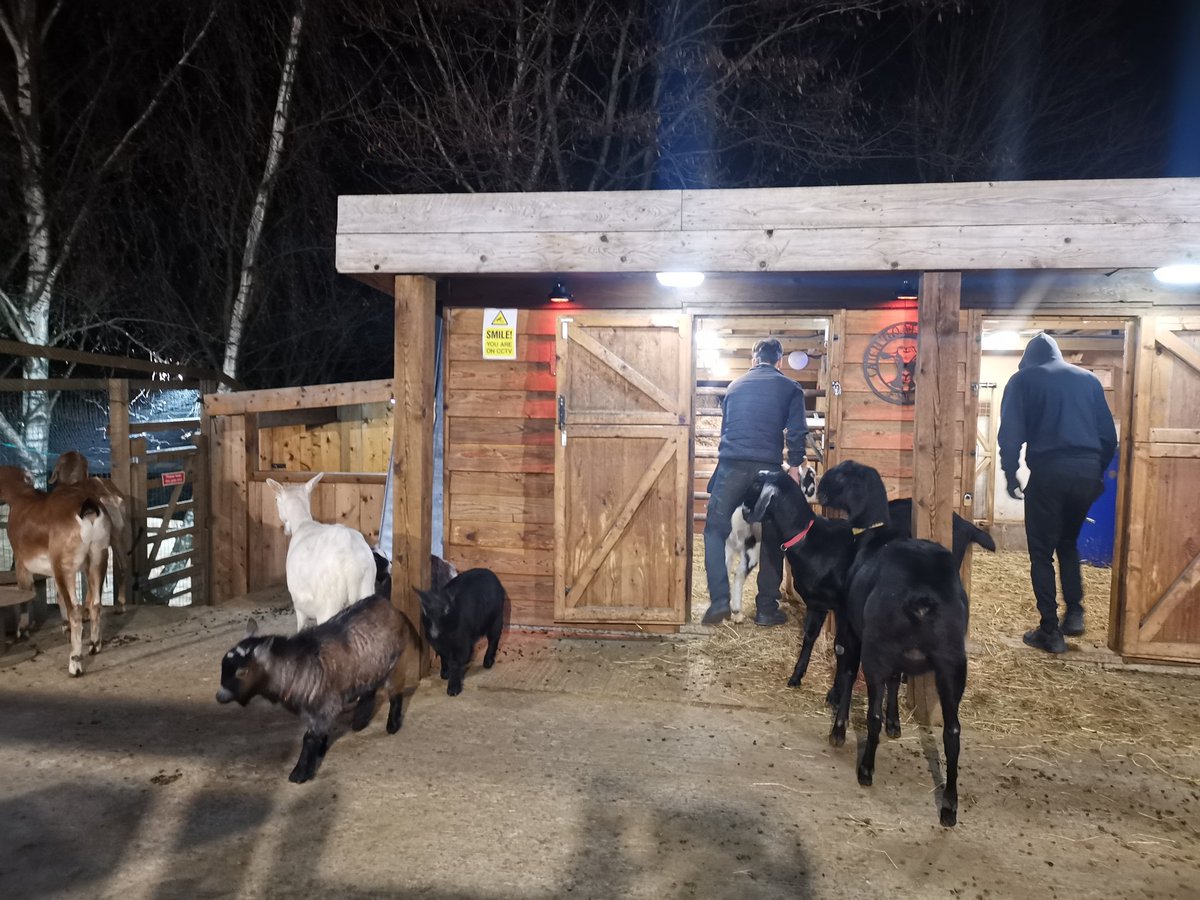 shaheen_myers's tweet image. What an inspirational place to be welcomed for WHO you are and what you can become.  @CATCHLeeds #unconditionalpositiveregard #inclusionmatters