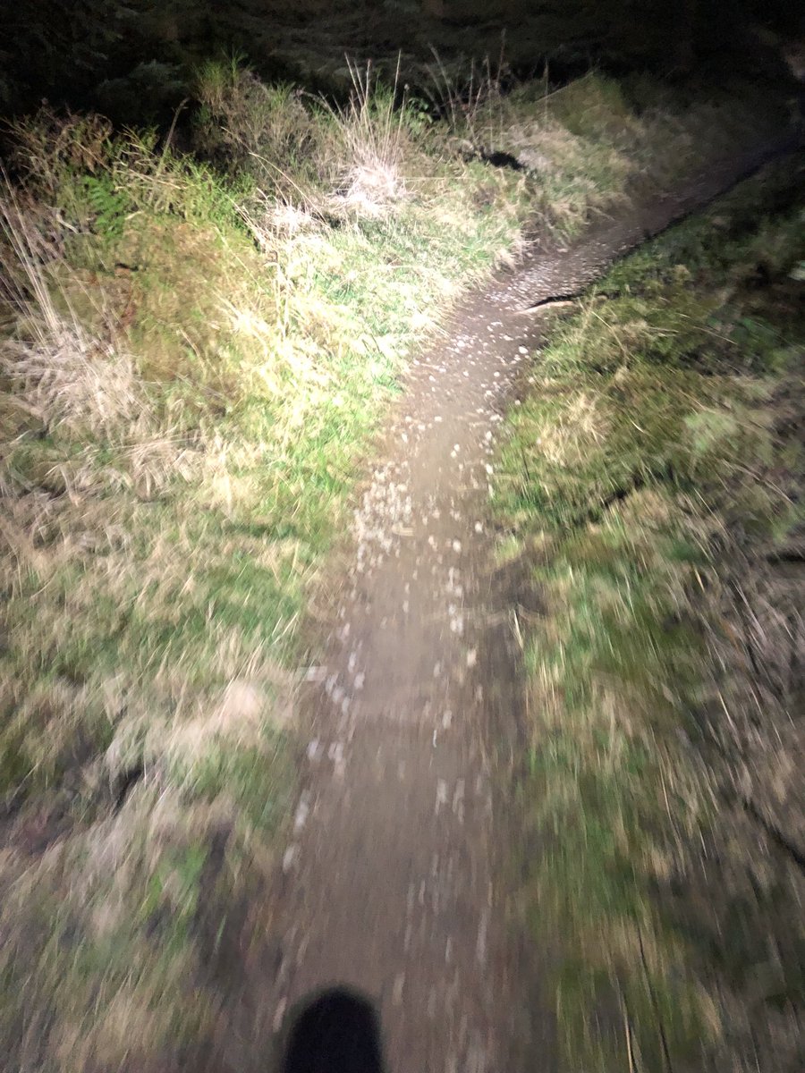 antgard15's tweet photo. Tonight’s ride , lots of wildlife about , fallow dear , woodcock , hares . Unfortunately no pics too quick for me . Then home to watch ⁦@BBCWinterwatch⁩ ⁦@ChrisGPackham⁩ ⁦@michaelastracha⁩ ⁦@IoloWilliams2⁩ https://t.co/F4YHbAxLSk