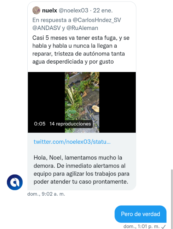 noelex03's tweet photo. @ANDASV Les creo sigue la fuga https://t.co/MK2AbCNcOk