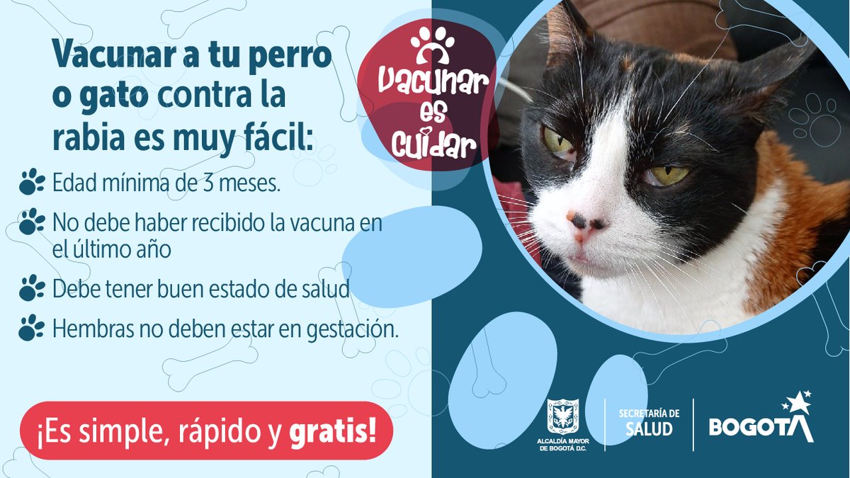 Secretaría Distrital de Salud tweet media