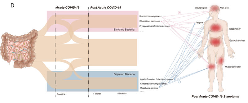 Francisco Mera Cordero tweet media
