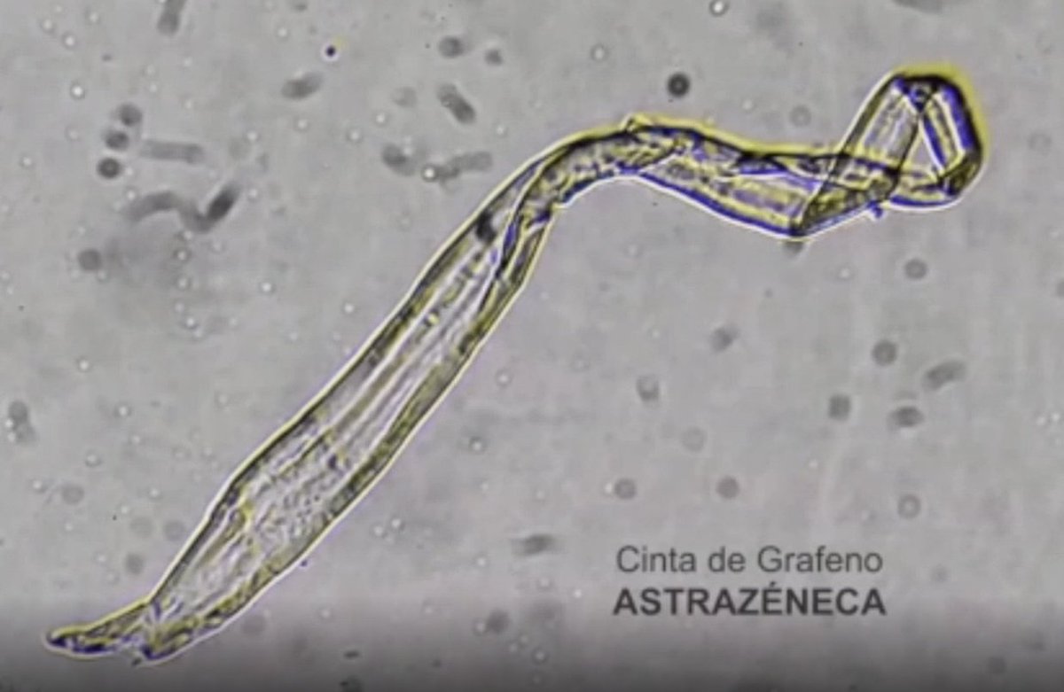 En la de AstraZeneca una microscópica bandera de Rosario Central de 50 metros.