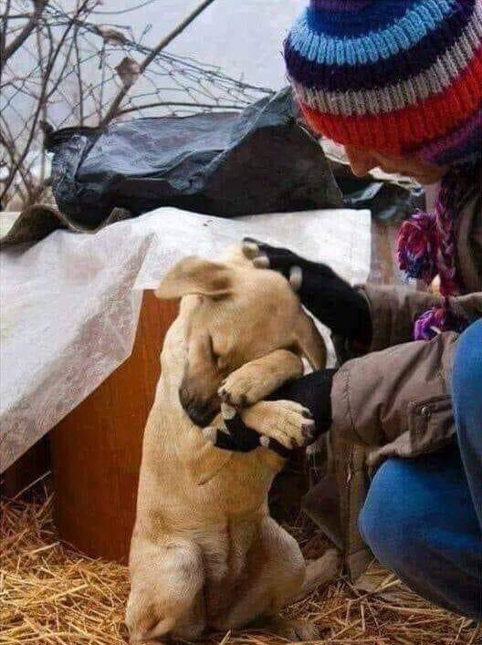 Solo necesitan tan poco para ser felices!!!