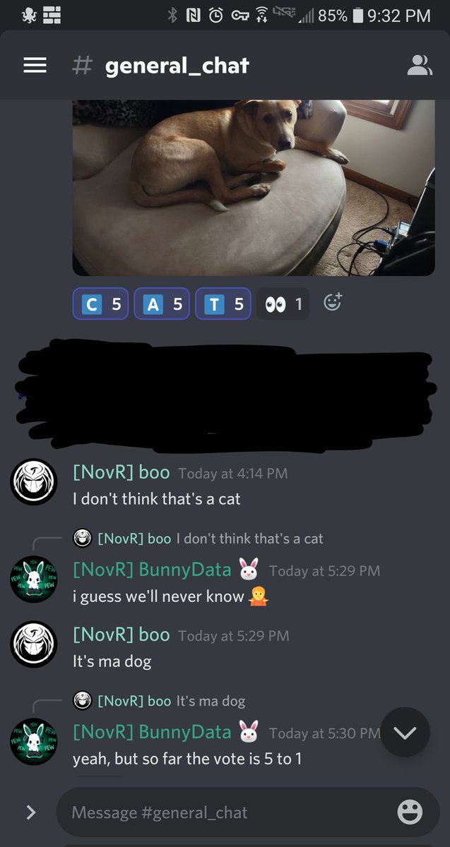 BunnyData's tweet photo. Just another day in discord https://t.co/Tru6otIxps