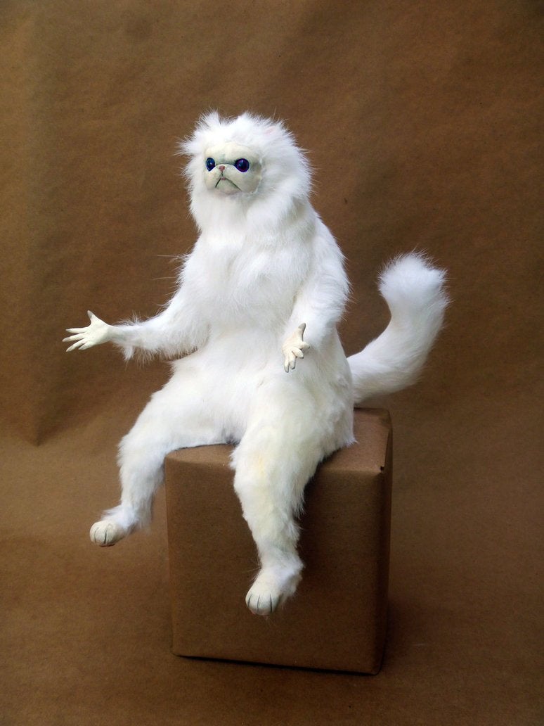 chiefpoptarts21's tweet photo. @TheKayleeVela whenever you're upset with me https://t.co/SIeLUkFAvS
